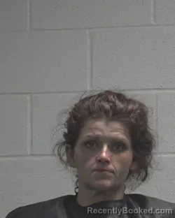 Mugshot of Jasmine Hopkins Chandler booked in Cleveland County, North Carolina on September 29, 2026