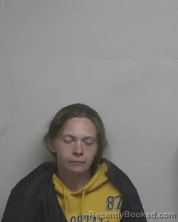 Mugshot of HEIDI MARIE NICHOLE VAUGHN