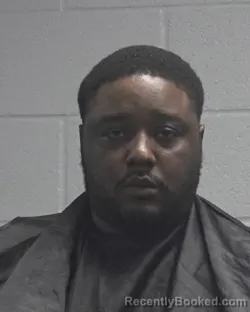 Mugshot of TRACY BERNARD MINTZ