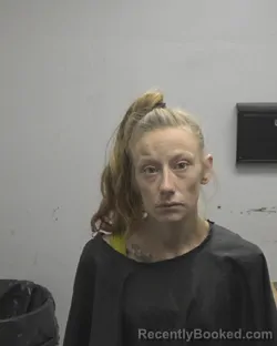 Mugshot of Ashley Elizabeth Todd booked in Cleveland County, North Carolina on August 25, 2026