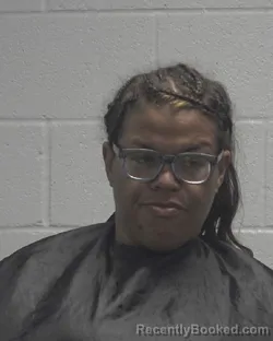 Mugshot of CHELSEA ANN TURNER