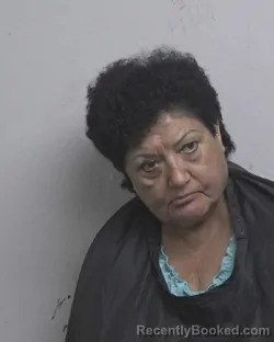 Mugshot of Gita Patel Mack booked in Cleveland County, North Carolina on October 1, 2026