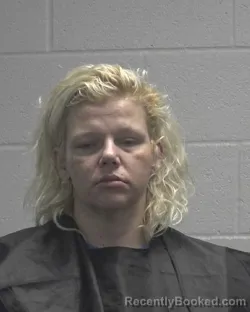 Mugshot of Terri Elizabeth Braswell booked in Cleveland County, North Carolina on August 13, 2026