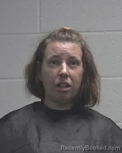 Mugshot of SHERRY RENEE MCDANIEL booked in Cleveland County, North Carolina on June 9, 2026