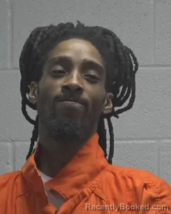 Mugshot of JULIAN TYLER WILSON