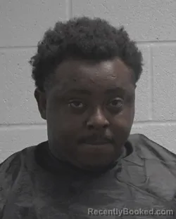 Mugshot of Shaughnassey Demonte Toms booked in Cleveland County, North Carolina on October 4, 2026