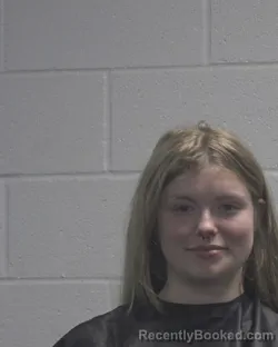 Mugshot of ANTHEIA VINNIE SHAKHTOUR