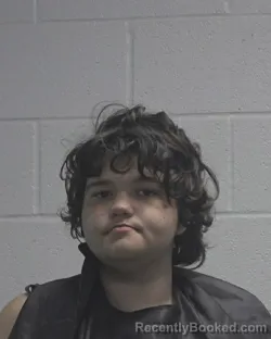 Mugshot of INDYA LASHAY CHAVIS