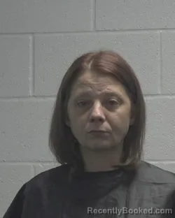 Mugshot of MIRANDA LEANNA WILLIAMS booked in Cleveland County, North Carolina on April 13, 2026