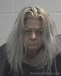 Mugshot of RHONDA KAY MCGINNIS