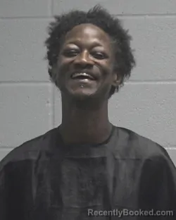 Mugshot of Chiquita Cherie Howard booked in Cleveland County, North Carolina on August 11, 2026