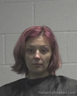 Mugshot of ALEXIS NICOLE WEASE booked in Cleveland County, North Carolina on April 28, 2026