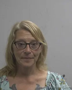 Mugshot of Tonya Dellinger Heavner booked in Cleveland County, North Carolina on August 12, 2026
