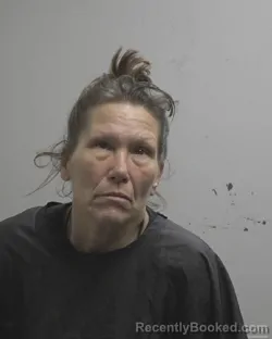 Mugshot of LINDA MARIE FAILE