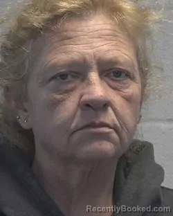 Mugshot of MICHELE LEIGH ROBLES