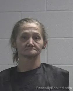 Mugshot of Denita Deaton Cook booked in Cleveland County, North Carolina on August 12, 2026