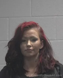 Mugshot of SHANA LYNN HERNDON
