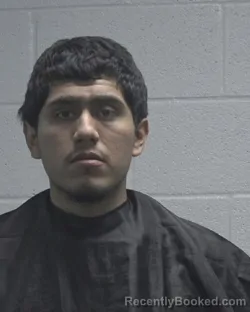 Mugshot of STEVEN CEDILLO NAVA