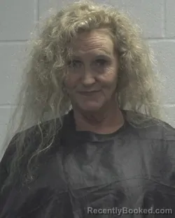 Mugshot of ANN MARIE STROUD booked in Cleveland County, North Carolina on June 9, 2026