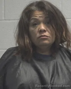 Mugshot of RAGAN DAWN HINES booked in Cleveland County, North Carolina on April 28, 2026