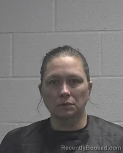 Mugshot of NICOLE JAMES BURNETTE booked in Cleveland County, North Carolina on June 30, 2026
