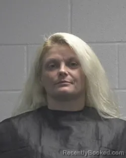 Mugshot of AMBER DENISE PARSON booked in Cleveland County, North Carolina on June 16, 2026