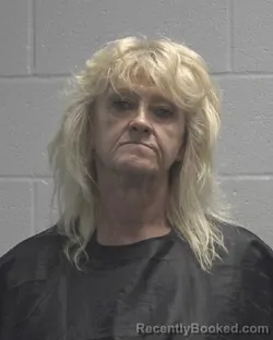 Mugshot of SHEILA JEANETTE CANIPE booked in Cleveland County, North Carolina on June 19, 2026