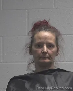 Mugshot of Tiffany Ann Tomlinson booked in Cleveland County, North Carolina on September 25, 2026