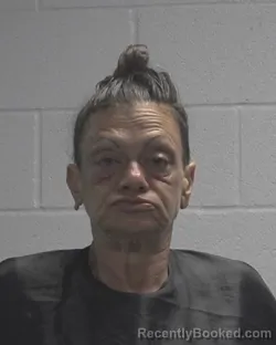 Mugshot of Kellie Anne Lux booked in Cleveland County, North Carolina on August 11, 2026