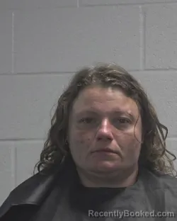 Mugshot of SHANNON NICHOLE VEGH