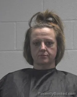 Mugshot of KRYSTAL DAWN BAISDEN