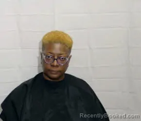 Mugshot of NICOLE LACEWELL