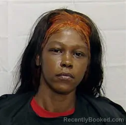 Mugshot of JANELLE LEANNIE JOHNSON booked in Columbus County, North Carolina on May 19, 2026