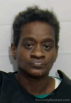 Mugshot of VANESSA PRIDGEN