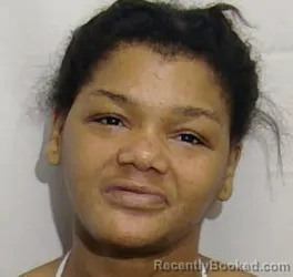 Mugshot of SHENIKA ANN BELLAMY