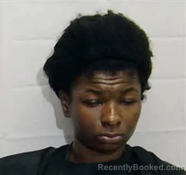 Mugshot of NYAISHA JANEE WHITE booked in Columbus County, North Carolina on May 8, 2026