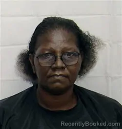 Mugshot of RUTH ANN HAYNES booked in Columbus County, North Carolina on May 14, 2026