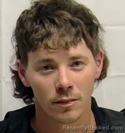 Mugshot of DAVID ALEXANDER SELLERS