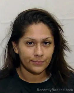 Mugshot of SANDRA ARELLANO booked in Columbus County, North Carolina on March 23, 2026