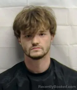 Mugshot of JUSTIN LAKE WALKER