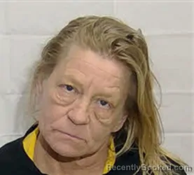 Mugshot of CAROLYN HICKS BRIGMAN booked in Columbus County, North Carolina on April 4, 2026