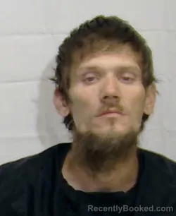 Mugshot of BRADY JAMES WARD