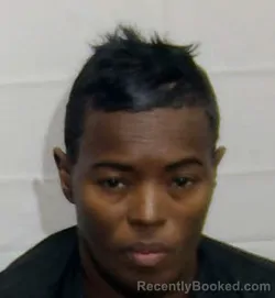 Mugshot of SYLVIA ALLEN