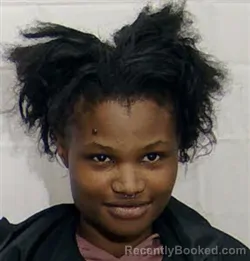 Mugshot of DAISHA KEANNA LEE booked in Columbus County, North Carolina on March 29, 2026