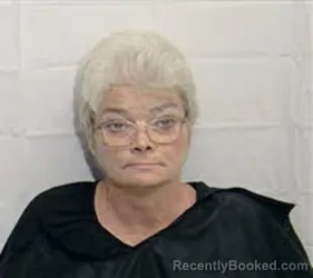 Mugshot of LOIS ANN BROWN booked in Columbus County, North Carolina on June 30, 2026