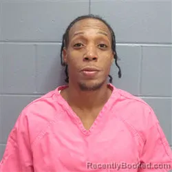 Mugshot of RODNEY DONNELL ELLIS