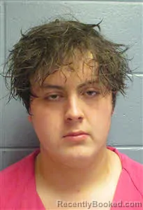 Mugshot of CARLOS FAVIAN JUAREZ