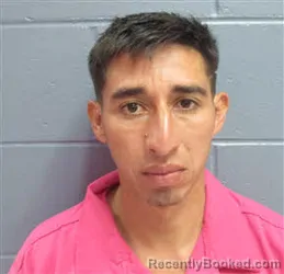 Mugshot of ELIAS JOSAEL CASTRO GUEVERA