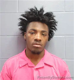 Mugshot of ZYION JA-PAUL HARRIS booked in Lee County, Georgia on March 21, 2026