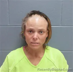 Mugshot of NICOLE MARIE WENSIL booked in Lee County, Georgia on April 12, 2026